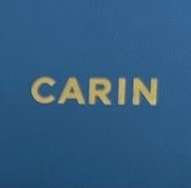 Picture of Carin Sunglasses _SKUfw55437390fw